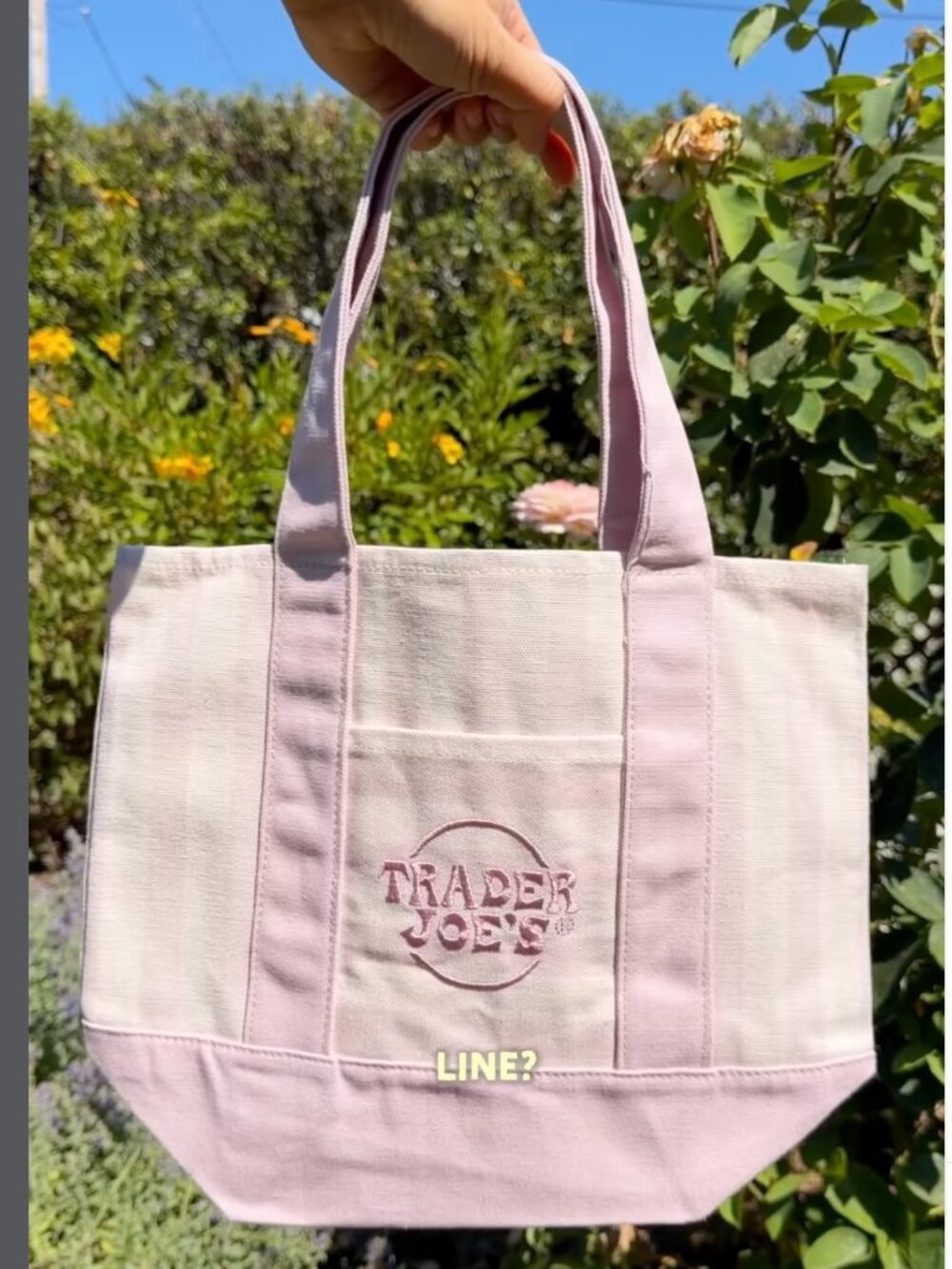 Trader Joe's Pink Striped Canvas Tote